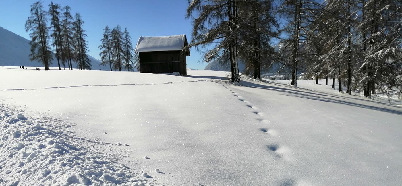 Winterlandschaft am Mieminger Plateau Tirol